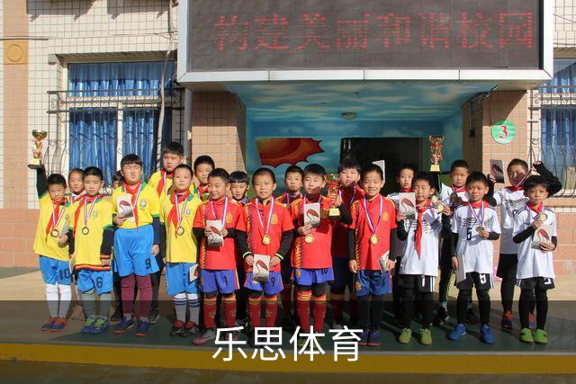 乐思体育公司简介